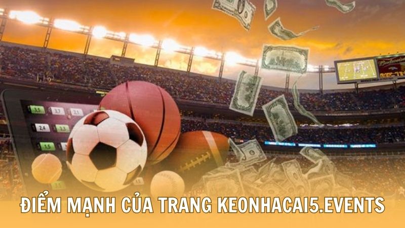 Điểm mạnh hỗ trợ người chơi cá cược tại t3q.mobi